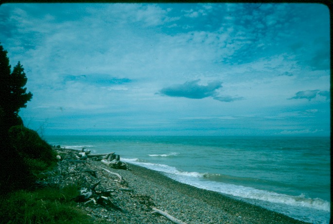 NewZealand_1989_Au