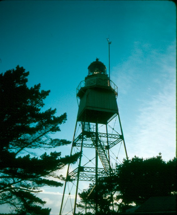 NewZealand_1989_Av-1