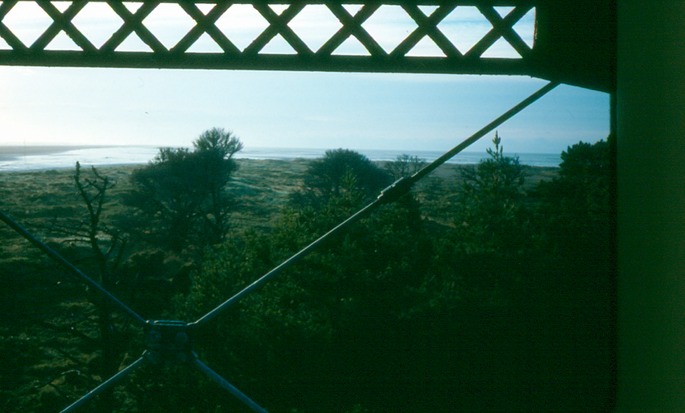 NewZealand_1989_Av-2