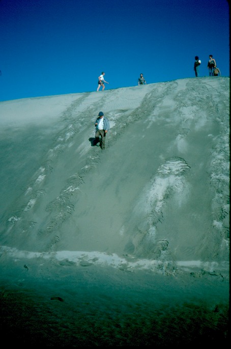 NewZealand_1989_Av-3