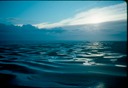 NewZealand_1989_Av