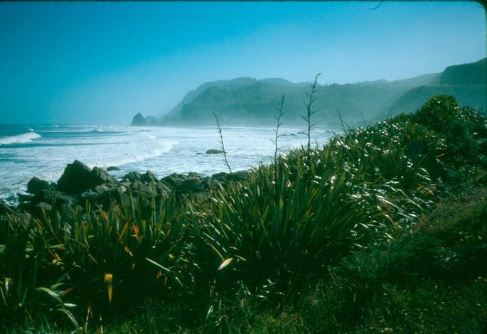 NewZealand_1989_Ax-2