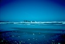 NewZealand_1989_Ay-3