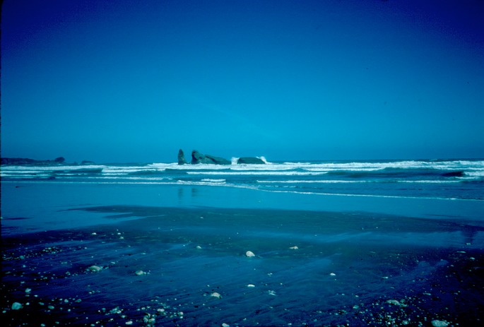 NewZealand_1989_Ay-3