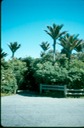 NewZealand_1989_Az