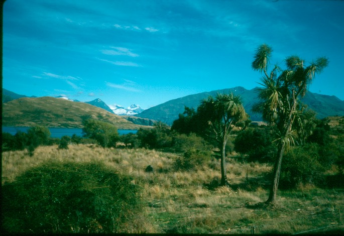 NewZealand_1989_Ba-1