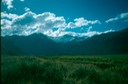 NewZealand_1989_Ba-3