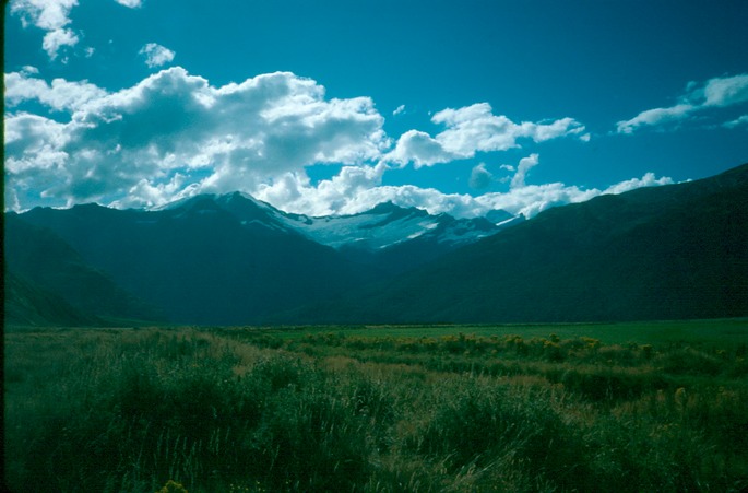 NewZealand_1989_Ba-3