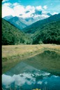 NewZealand_1989_Bb-2