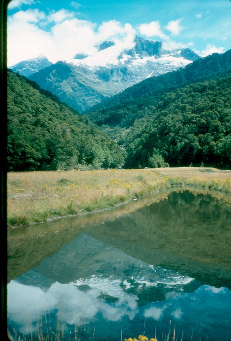 NewZealand_1989_Bb-2