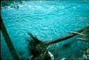 NewZealand_1989_Bb-3