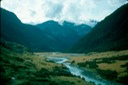 NewZealand_1989_Bb