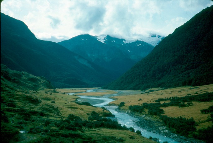 NewZealand_1989_Bb
