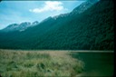 NewZealand_1989_Bd-3