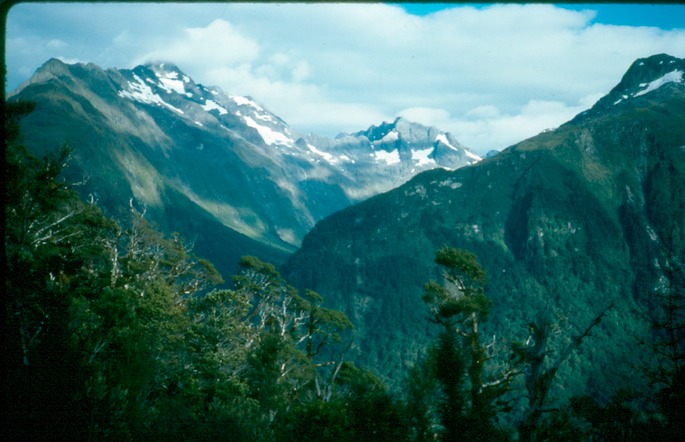 NewZealand_1989_Be-1
