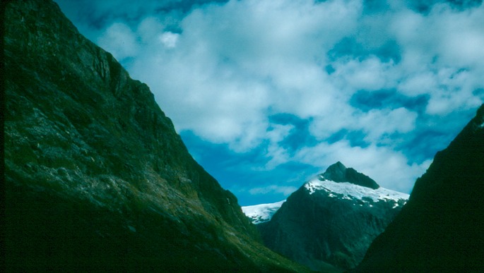 NewZealand_1989_Be-2