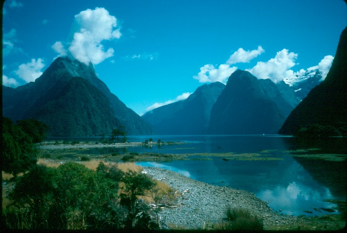 NewZealand_1989_Bf