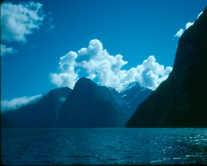 NewZealand_1989_Bfa-3