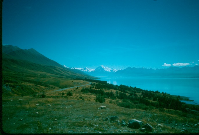 NewZealand_1989_Bfb-2