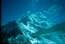 NewZealand_1989_Bfd