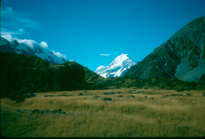 NewZealand_1989_Bfe-2