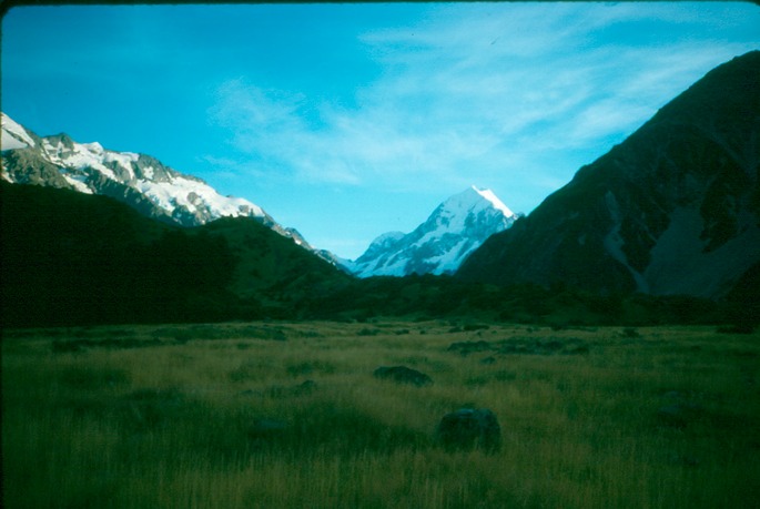 NewZealand_1989_Bfe-3