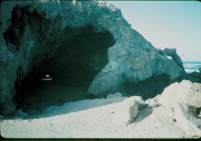 NewZealand_1989_Bg-1