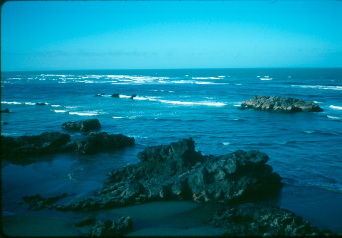 NewZealand_1989_Bg-2
