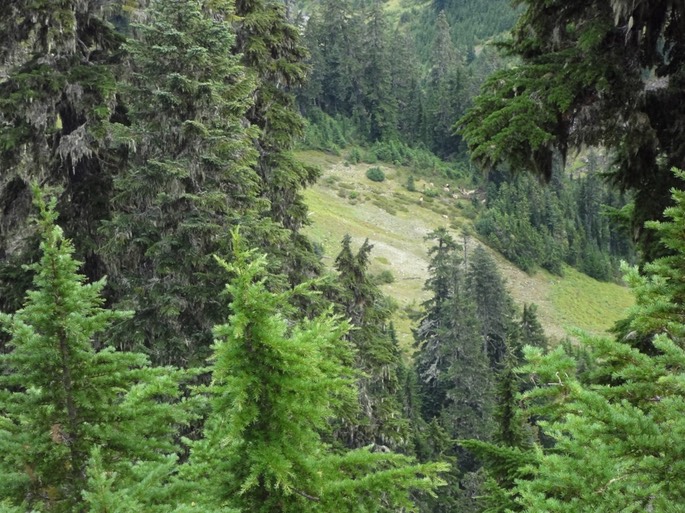 OetOFu7OQfe+X2LxHKzftA_thumb_49ab