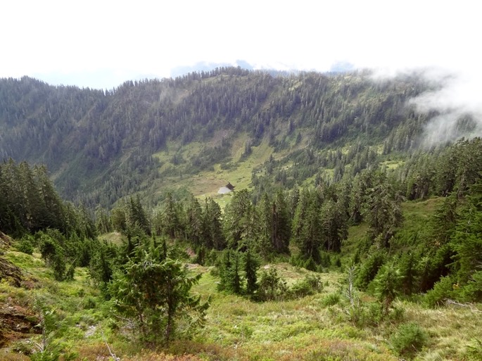 oev66QKHTDyv2+B1mz%YlA_thumb_49a1