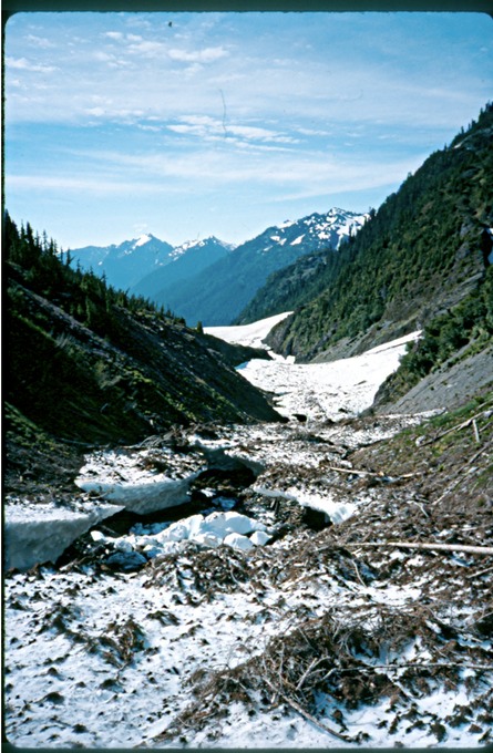 OlyTravT2n11702