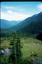 OlyTravT2n125