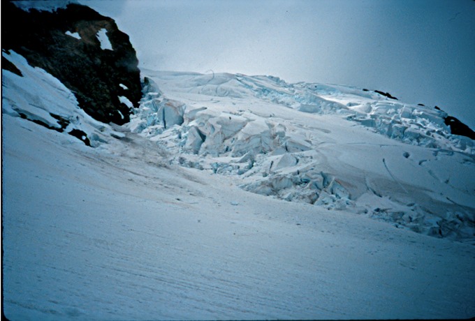OlyTravT2n41