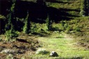 pic7LksBsn_Ac