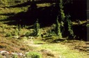 pic7LksBsn_Ad
