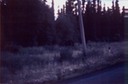 picAlCanHwy_BC_B