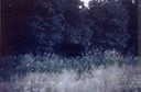 picAlCanHwy_BC_C