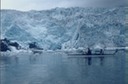 picGlacierBayB