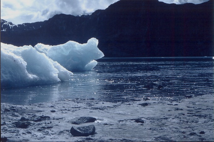 picGlacierBayC