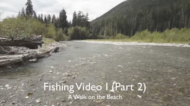 pj_fish_dvd1_chap2---medium