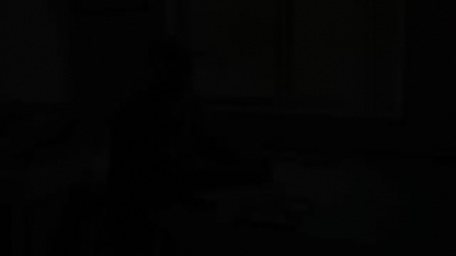 pj_fish_dvd1_chap4---medium