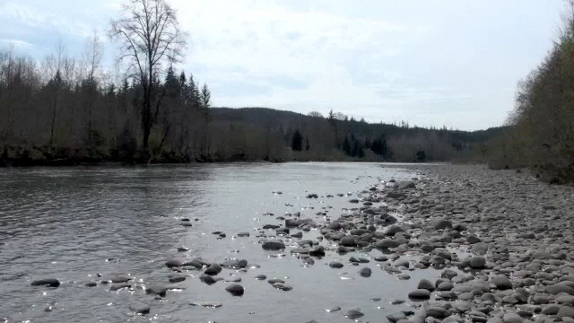 pj_flyfish_chap3---medium