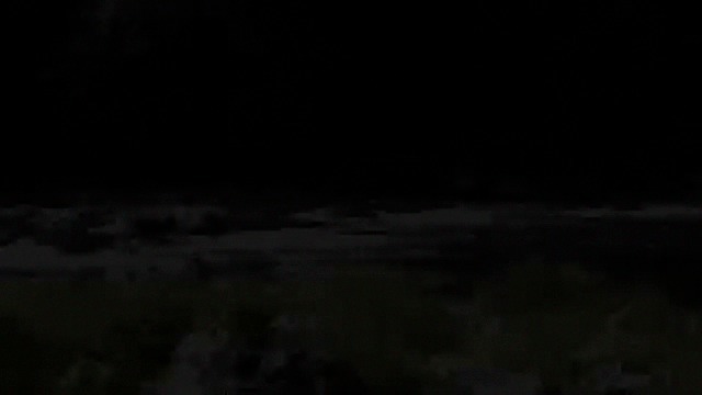 pj_flyfish_dvd2_chap1--