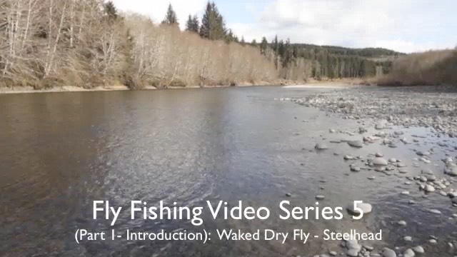 pj_flyfish_dvd6_chap1--