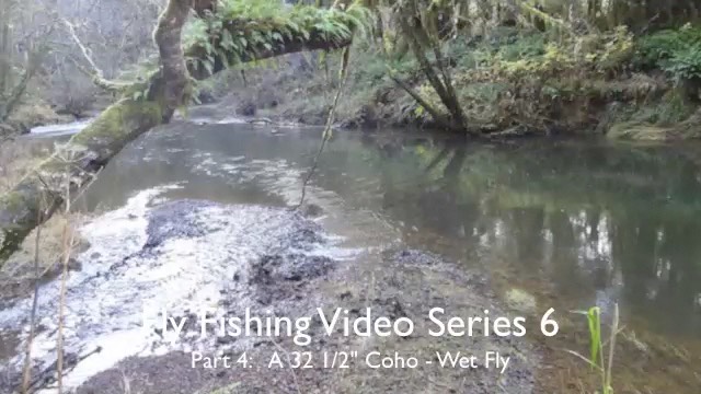 pj_flyfish_dvd7_chap4--