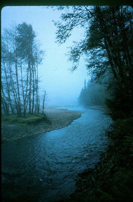Quinault27