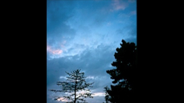 roguerivertrip---medium