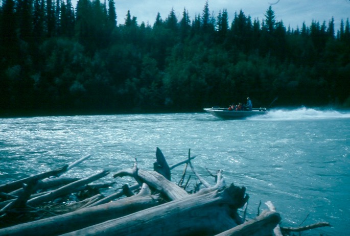 Salmon_fishing_11