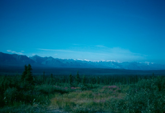 Salmon_fishing_3