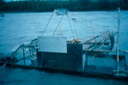 Salmon_fishing_43